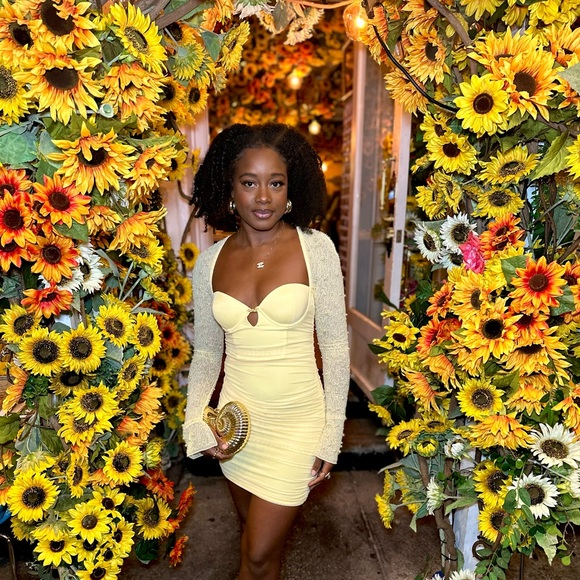 ST. GERMAIN Embellished Long Sleeve Mini Dress - Picture 5 of 5